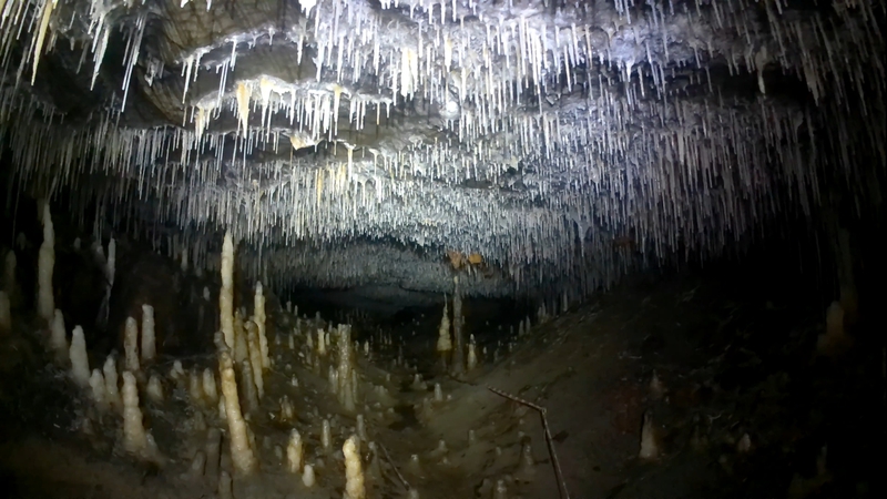 Thumbnail of photo from this article